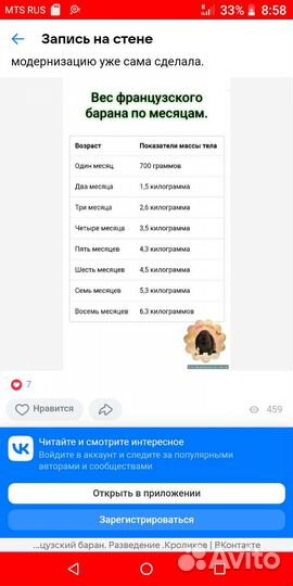 Крол французский баран
