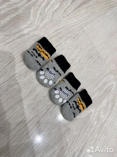 Одежда для маленьких собак чихуа