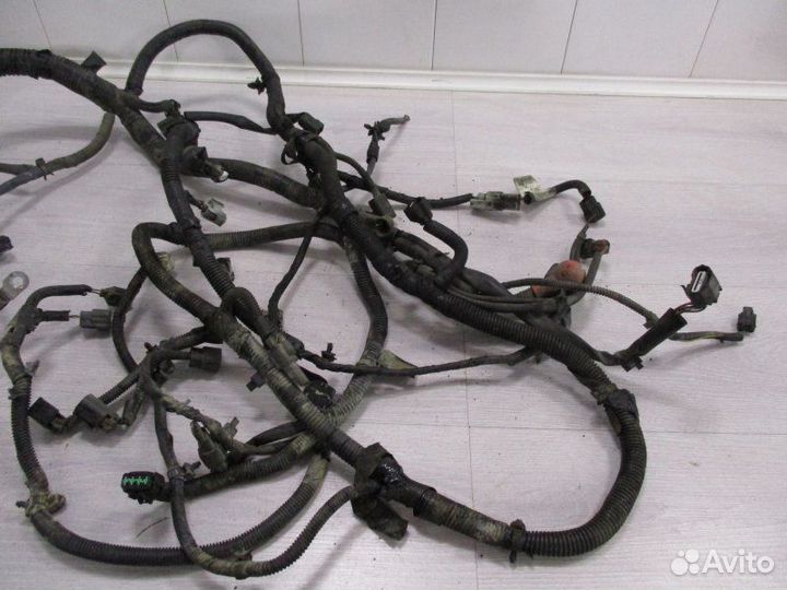 Электропроводка Nissan Navara 2.5 2006