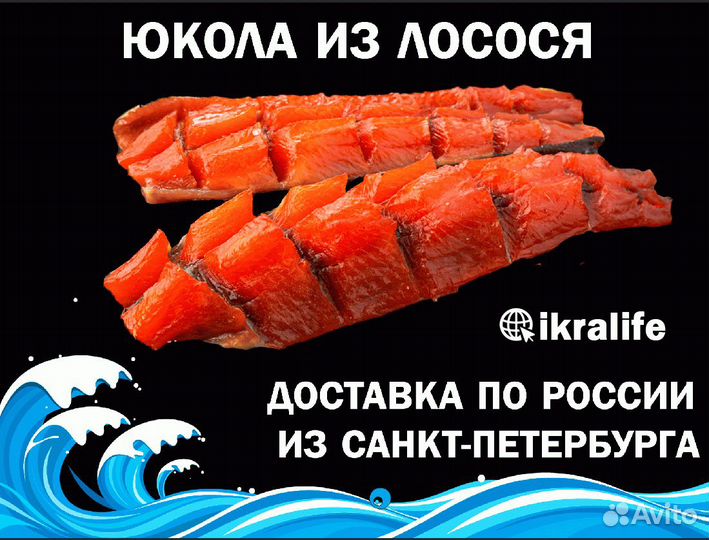 Юкола из Лосося для Юр.Лиц. Доставка сдэк