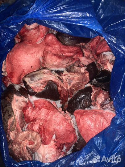 Ливер бараний гусак-сердце, легкое, печень