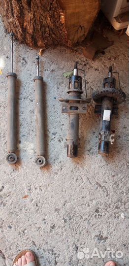 Стоики поло