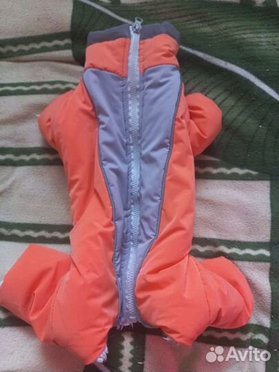 Одежда для собак