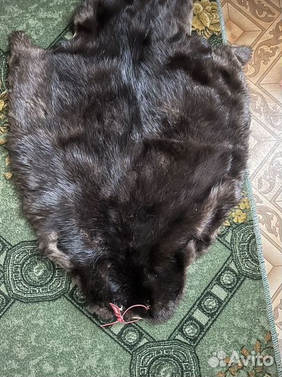 Шкурки норки