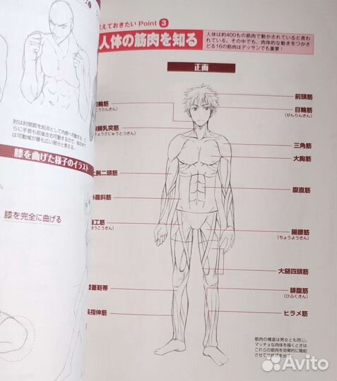 Книга Манга дизайн на японском языке