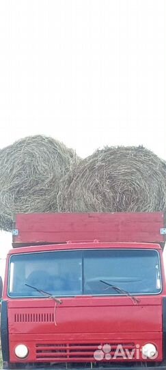 Сено в тюках