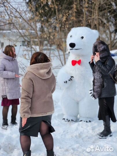 Белый мишка поздравление