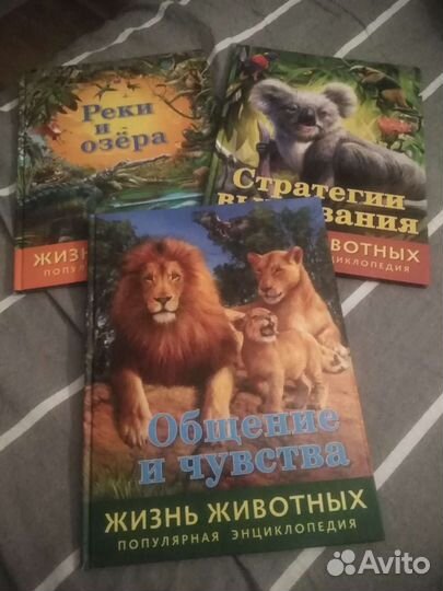 Энциклопедия