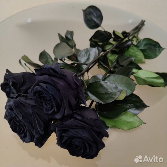 Букет из 3-х черных стабилизированных роз