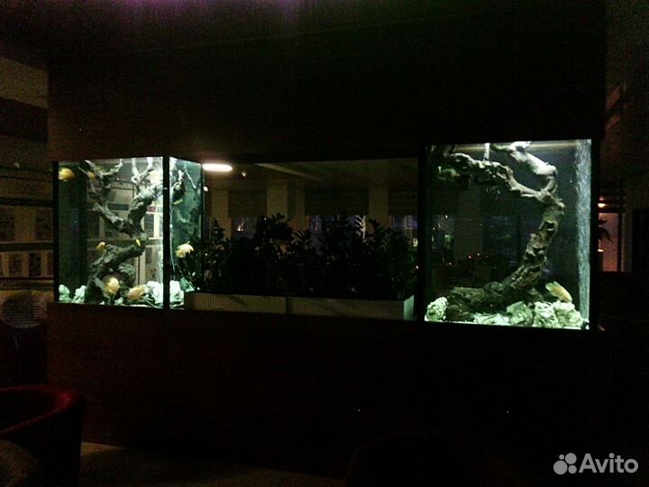 Чистка аквариума. Аквариумист