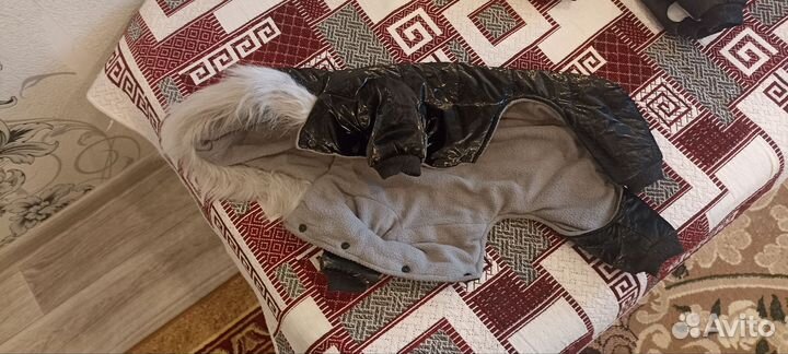 Продам одежду для собак, щенков