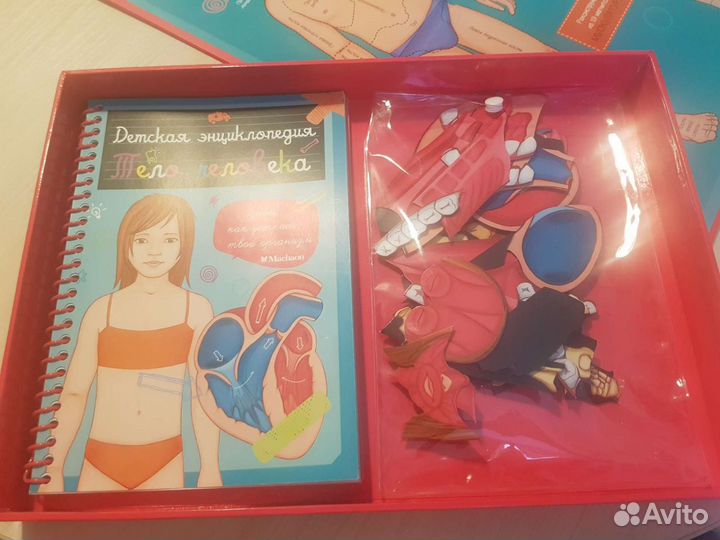 Детская энциклопедия тело человека Махаон