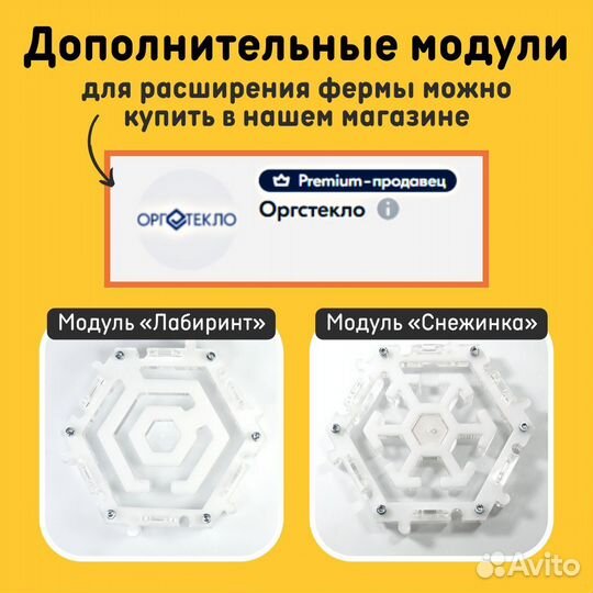 Муравьиная ферма 