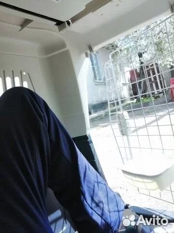 Большие переноски для огромных собак