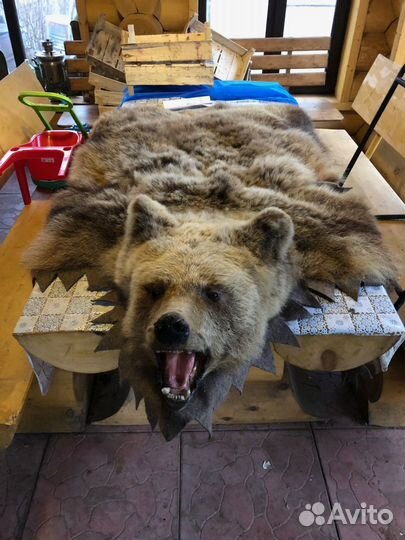 Шкура медведя (имитация)