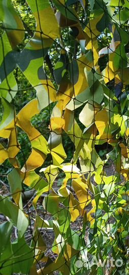 Маскировочная сеть премиум