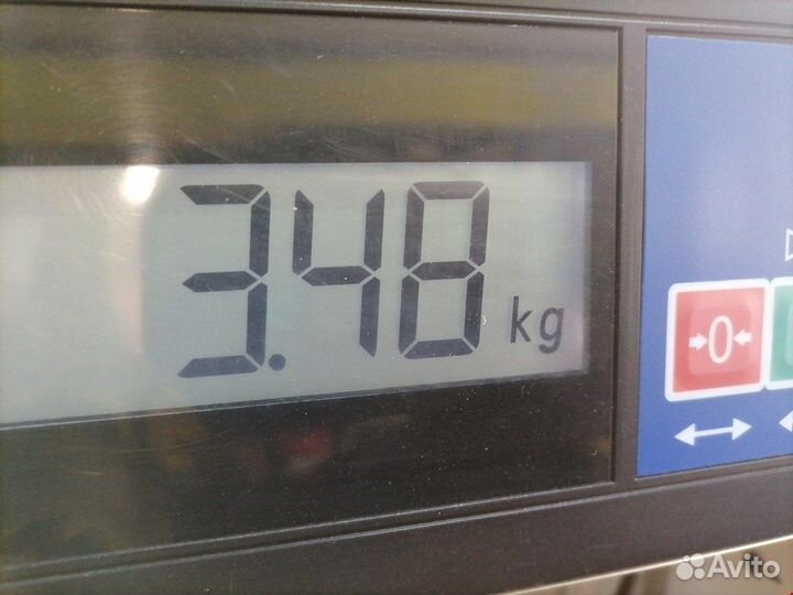 Радиатор основной для Peugeot-Citroen Xsara 133307