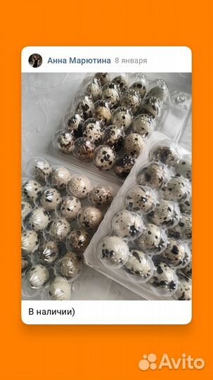 Яйца перепелиные домашние крупные