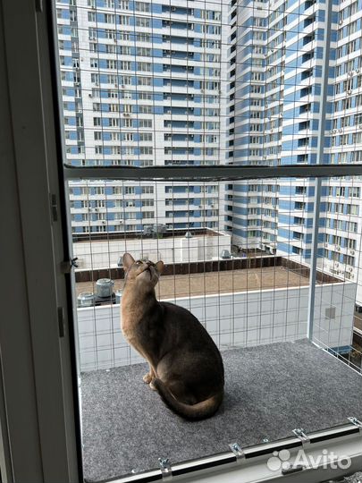 Балкончик для кошки