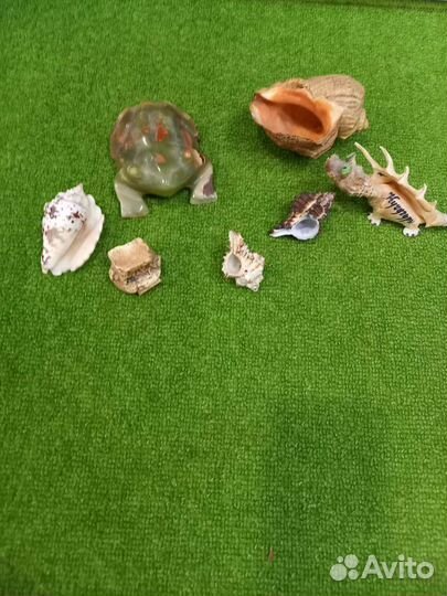 Для аквариума