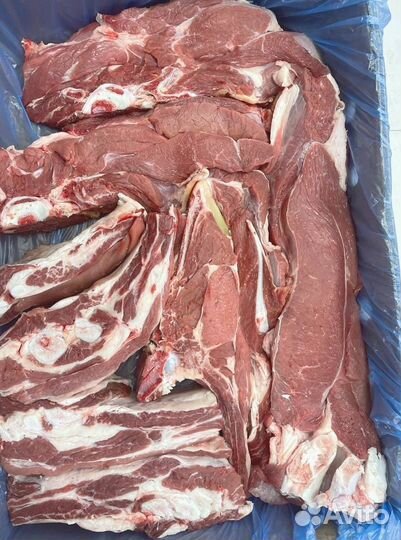 Мясо свинина говядина баранина