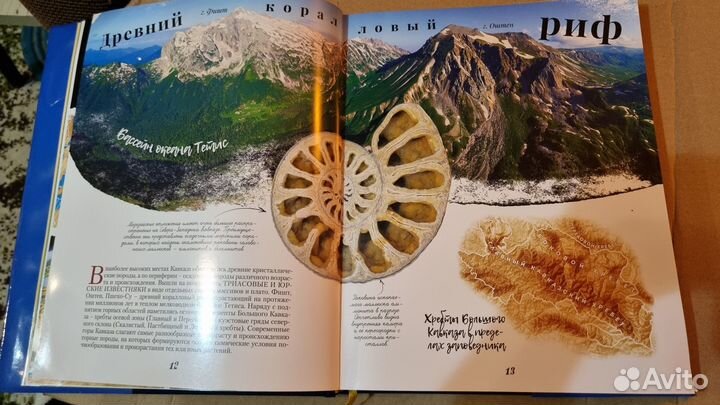 Подарочная книга