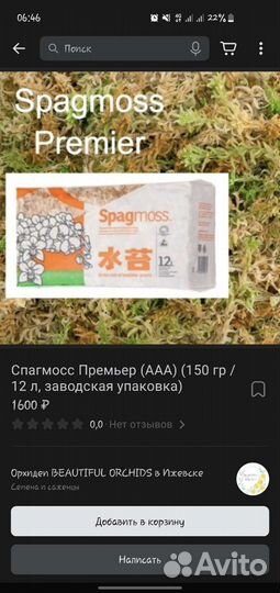 Мох новозеландский