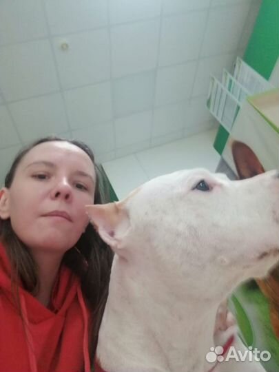 Кинолог, тренер, зоопсихолог, Москва и Щёлково