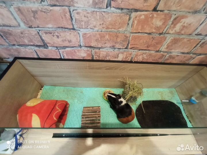 Клетка стеллаж для грызуна