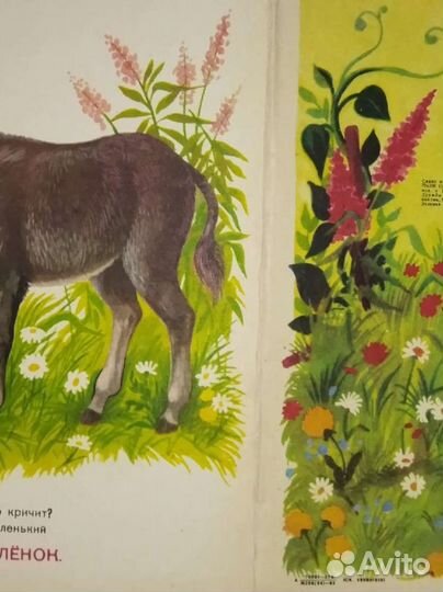 Уникальные детские книги планшетки СССР