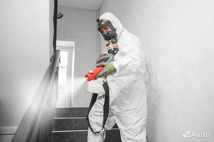 Средство для Уничтожения клопов Дезинсекции тараканов