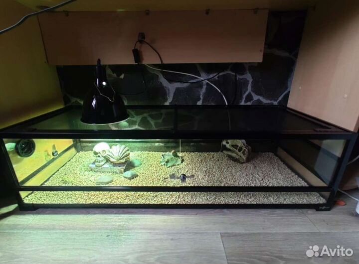 Террариум для рептилий