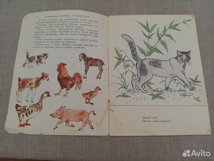 А.Н. Леонтьева. Загадай загадку, найди отгадку. Ал