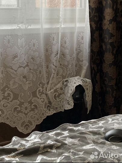 Помесь спаниель