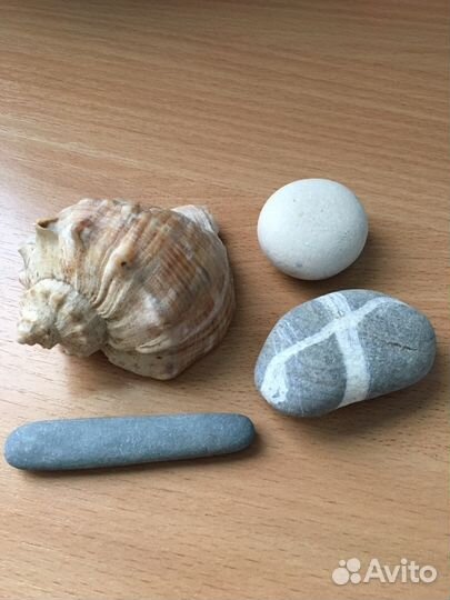 Ракушки,камни для интерьера и аквариума