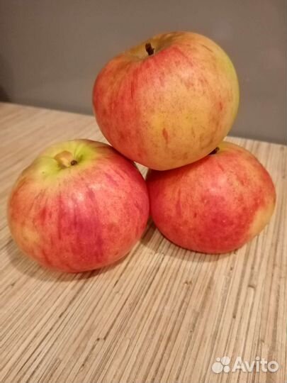 Яблоки домашние