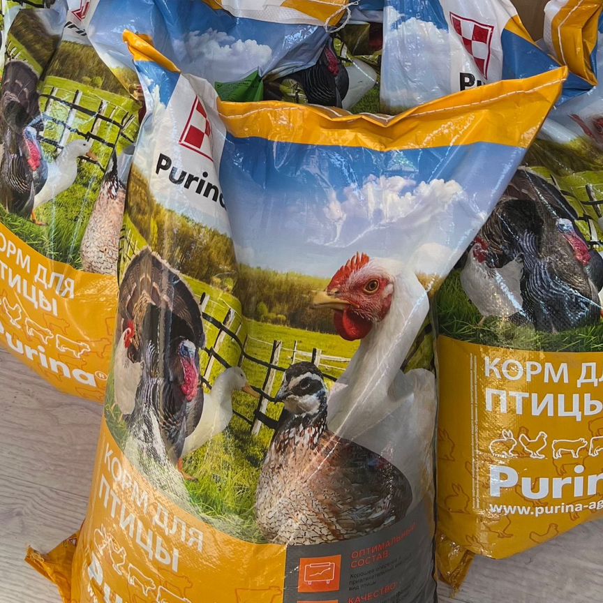 Комбикорм для индейки purina start1