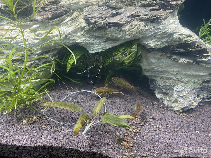 Аквариум с тумбой