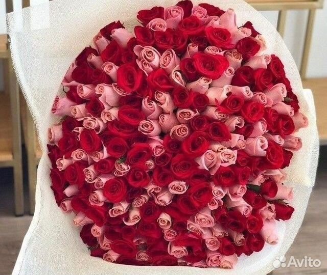 101 роза цветы букеты доставка 25 51 101 роза