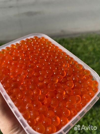 Красная икра с Камчатки 2023