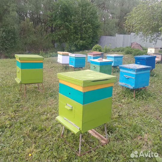 Продаю улья