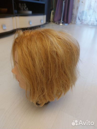 Голова учебная