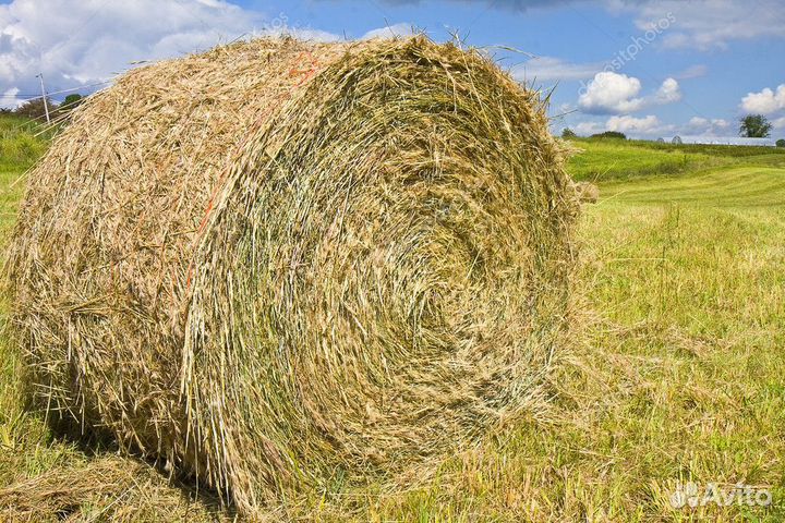 Сено, Солома, навоз