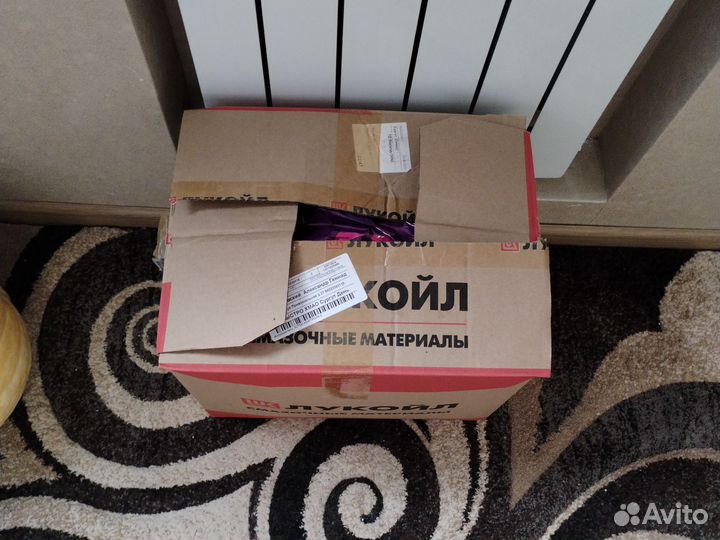 Шишка кедровая