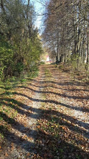 Дом 82,3 м² на участке 6 сот.