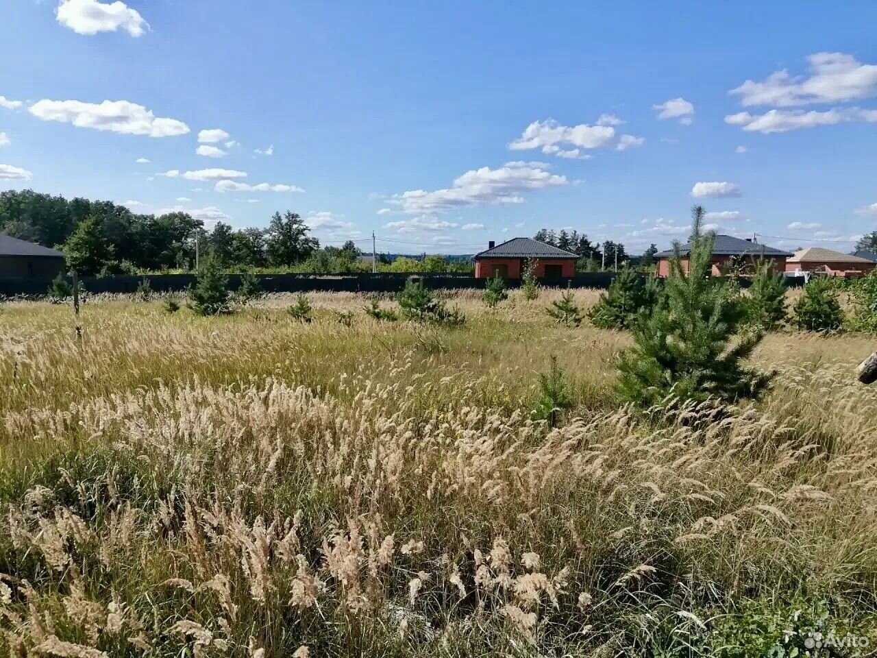 Воронежская область, Рамонский район, Новоживотинновское сельское поселение, деревня Медовка, улица Сержанта Белодедова, 245