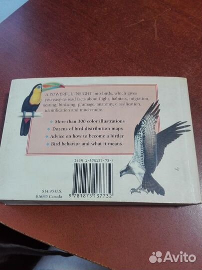 Birds (the little guides)