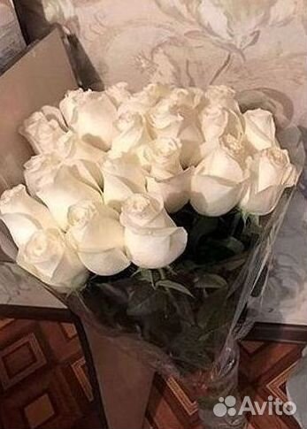 101 роза цветы букеты доставка 25 51 101 роза