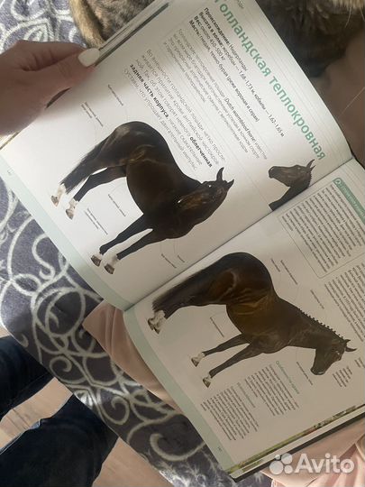 Лошади самая полная энциклопедия, Зимина Г