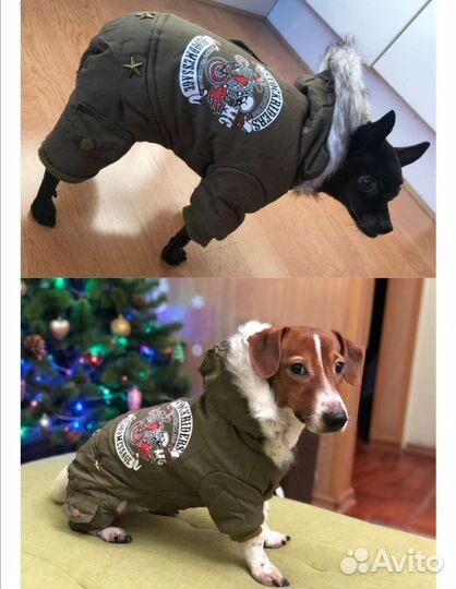 Одежда для маленьких собак